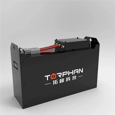 Custom-Voltage LiFePO4 Battery Pack